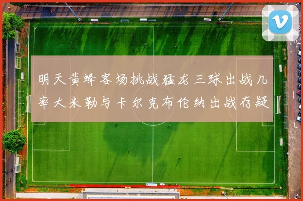 明天黄蜂客场挑战猛龙三球出战几率大米勒与卡尔克布伦纳出战存疑