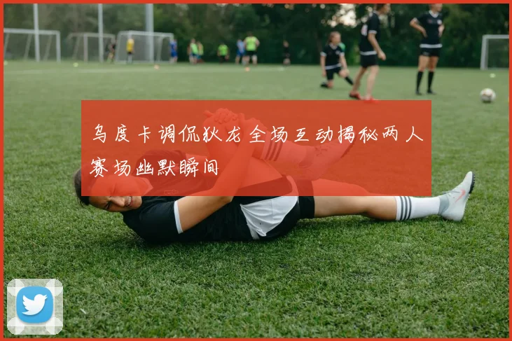 乌度卡调侃狄龙全场互动揭秘两人赛场幽默瞬间