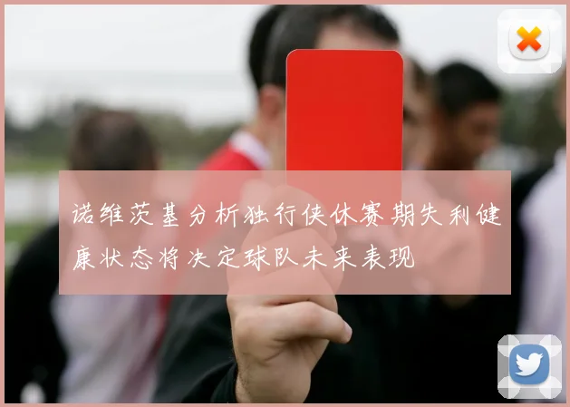 诺维茨基分析独行侠休赛期失利健康状态将决定球队未来表现